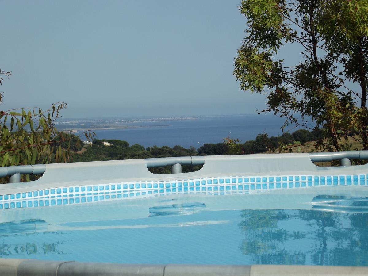 Bed & Breakfast La Volpe E L'Uva Santa Marinella Exteriör bild