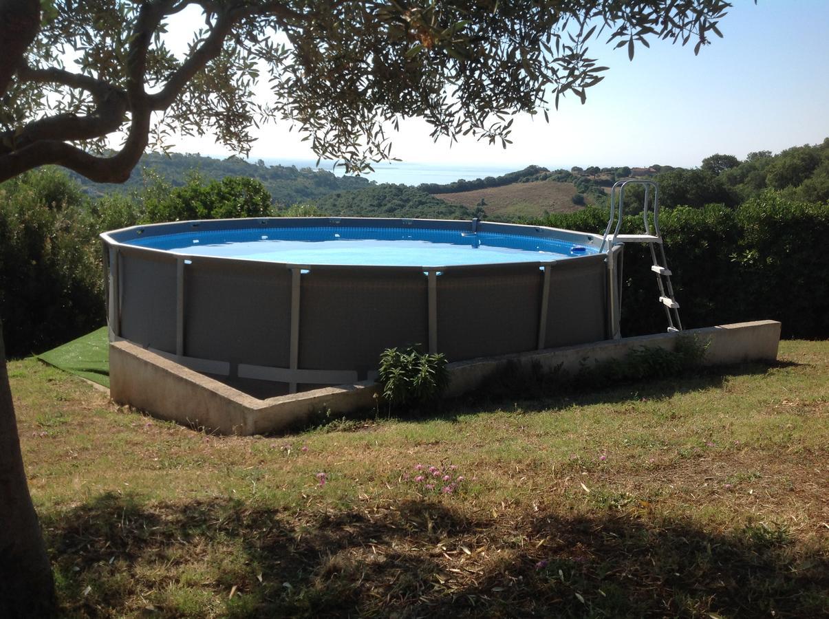 Bed & Breakfast La Volpe E L'Uva Santa Marinella Exteriör bild